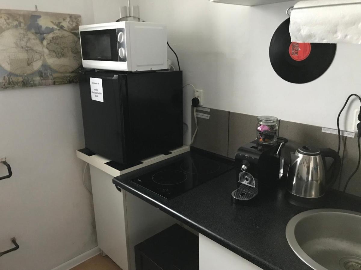 Studio Black And White Apartment Lodz  Luaran gambar
